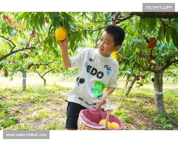 南浔黄桃与网球情缘 会长赠果传递温馨家庭文化精神 南浔黄桃与网球情缘 会长赠果传递温馨家庭文化精神
